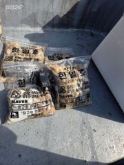 9월22일 장고항 한일호 쭈꾸미 조황사진 사진