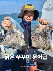 2026년9월22일 쭈.갑 조황 정보 사진