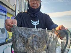 22일 군산샤크호 쭈꾸미굿조황 25일갑자리여유 사진