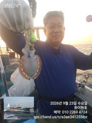 23일, 군산쭈꾸미,날마다 잘 나오고 있어요~실시간 조황~~군산낚시프라자 하이원호 사진
