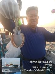 23일, 군산쭈꾸미,날마다 잘 나오고 있어요~실시간 조황~~군산낚시프라자 하이원호 사진