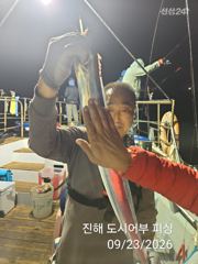 23일 내만갈치 용가리 다수!! 너무 커요~!! 금요일부터 예약가능 사진