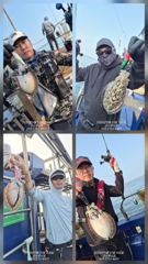[루시호] 9/23 갑오징어 실시간~사이즈 좋고 잘 나오네요 사진