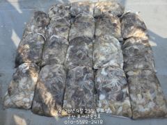 [군산포세이돈2호]쭈꾸미실시간~잘 나오네요~~ 사진