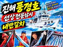 [진해] <<내만갈치>>3자리 마릿수 씨알굿 최신굳조황 사진