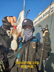 완도덕호 9.23 쭈꾸미 사진