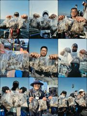 먹물 글만 보기 사진