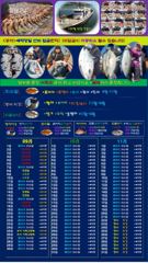 ♥붉바리들 이정도는 잡아봐야지요 대박 붉바리조황입니다 [2026년09월23일] ◎ 해마루호가 뜨는이유? 조황때문이죠 ◎ 핵심포인트: 바로진입.. 바로히트.. ◎ 차원이 다른 조황으로 모십니다 ▣ 요즘 붉바리낚시가 대세입니다 사진
