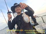주꾸미 갑오징어 조황 입니다 사진