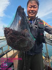 9월23일 팀보스선단 문어 조황 사진