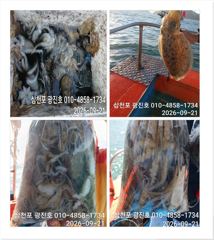 [사천] 왕쭈꾸 장원200수{평일,할인}27일 자리여유 예약중 사진