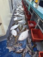광어조황 글만 보기 사진