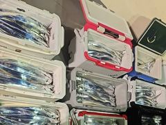 [군산] 9월23일,"대광어"초유에 관심사, 길게 이어지는 초대박조황~오늘도 최고의 조황!! ~참돔,우럭등~ 군산낚시프라자 범고래호 사진