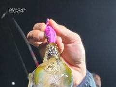 무늬팁런 오늘도 몬스터와 왕무시들로 148수 사진