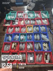 [팁런]k,k,무시급들로,마리수 "굿"(목,금,토일,출항) 사진