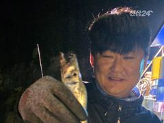 [여수,광양] (은별호) 9/24 내만갈치출조합니다 사진