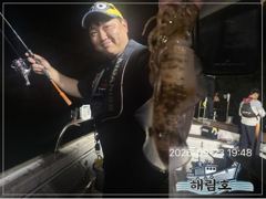 무늬오징어 시알급들 계속 물어 띠네요^^ 사진