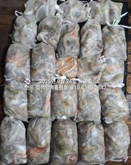 23일 홈런호 야간문어 굿조황으로 마무리 합니다 사진