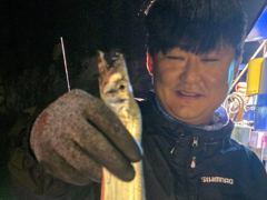 (은별호) 9/24 내만갈치출조합니다 사진