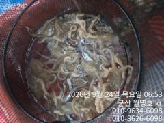 24일 오전반 실시간 사진