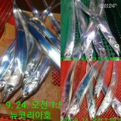 [통영] 오늘도 출항합니다 먼바다로 신나게 추석연휴 즐겨볼까요~ 사진