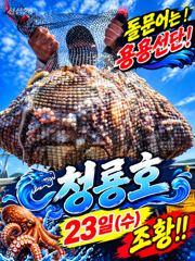 [고흥,녹동] <고흥녹동>청룡호24일 돌문어700수 !!!!대박조황소식!! 사진