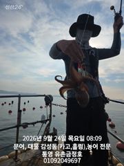 통영 금정호 오전문어 좋은싸이즈로 시작합니다 오늘오후 토.일 자… 사진