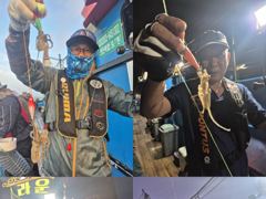 크라운호 쭈꾸미 실시간조황(24일)-내일오전 자리있음 사진