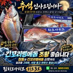 [거제] 선상흘림/추석연휴 긴꼬리벵에돔 부터 덩치 오짜참들들 사진