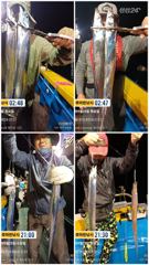 [진해] 준내만갈치)텐빈~만쿨~오늘도 가고 내일도 쭉~(금요일.일요일 예… 사진