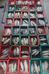 진해 무늬팁런 버글버글 손맛굿 사진