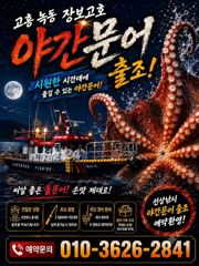 추석재수용 녹동돌문어 물반문어반7탄 사진
