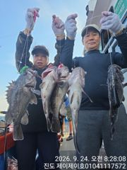 [해남,진도] 진도제이제이 9월23일 갈치 우럭병행출조 조황입니다 사진