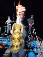 9.23 실력 차가 있고 망고 대박입니다 무늬누늬 사진