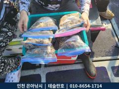 9월23일 인천남항 테슬란호 주꾸미조황입니다~~^^ 사진