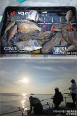 [부산] 피싱히어로 4짜 감성돔 돌돔 긴꼬리벵어돔 조황 사진