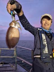[격포] 09/24 격포 남부스타호 쭈꾸미 갑오징어 조황입니다~!!! 사진