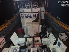 ●먼바다갈치 쿨러조황 금,토,일~●갈치 텐빈 토,일~예약가능 사진