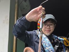 녹동 돌문어 조황 사진
