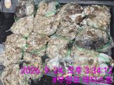 먹물조황 글만 보기 사진