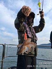 [사천] 왕주꾸미 ~24일조황~27일부터~예약받습니다 사진
