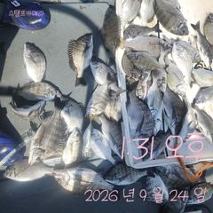 [고성] 24일 감성돔흘림 조황입니다. 사진