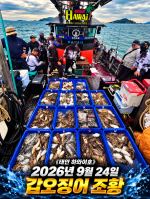 쭈갑조황 글만 보기 사진