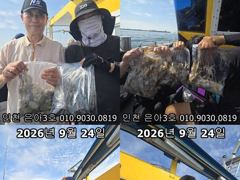 26년 9월 24일!! 인천 은아3호!! 오전.오후 시간배 체험낚시 조황입니다~^.^ 사진