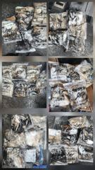 [쭈갑조황] 9.24일 갑오징어 조황입니다 사진