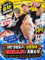 9.24 성호좌대 조황소식 사진