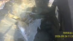 [군산] [9/24 범고래호] 배 전체 쉼 없이 터진 광어 손맛, 오늘 함께해 주신 분들 고생 많으셨습니다. 군산낚시프라자 사진