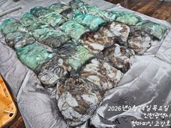 [ 고강호 ] 9월 24일 [ 갑오징어 !! & 주꾸미 조황 !! ] [ 인천배낚시 청마피싱 / 인천선상낚시 / 인천낚시배 ] 사진