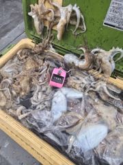 쭈갑조황 글만 보기 사진