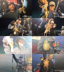 <볼보호> 쭈꾸미 종일 실시간 조황(25일)-금일 오후 쭈꾸미배 자리있습니다. 사진